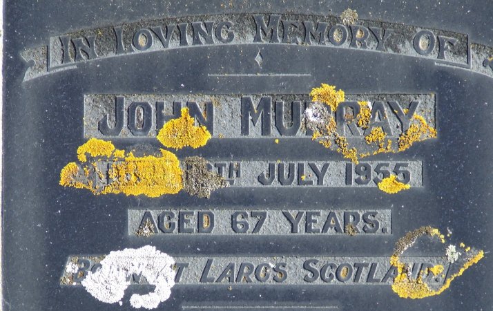 headstone